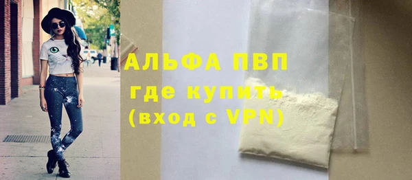 СК Алексин