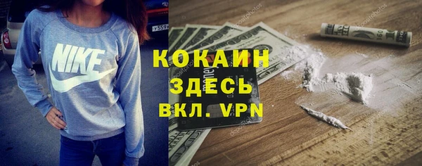 спиды Абаза